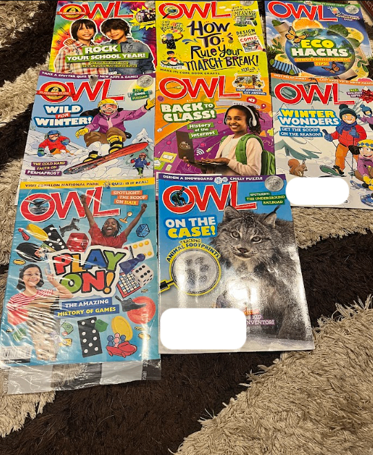 Chickadee & OWL Kids' Magazines Bundle - photo 3