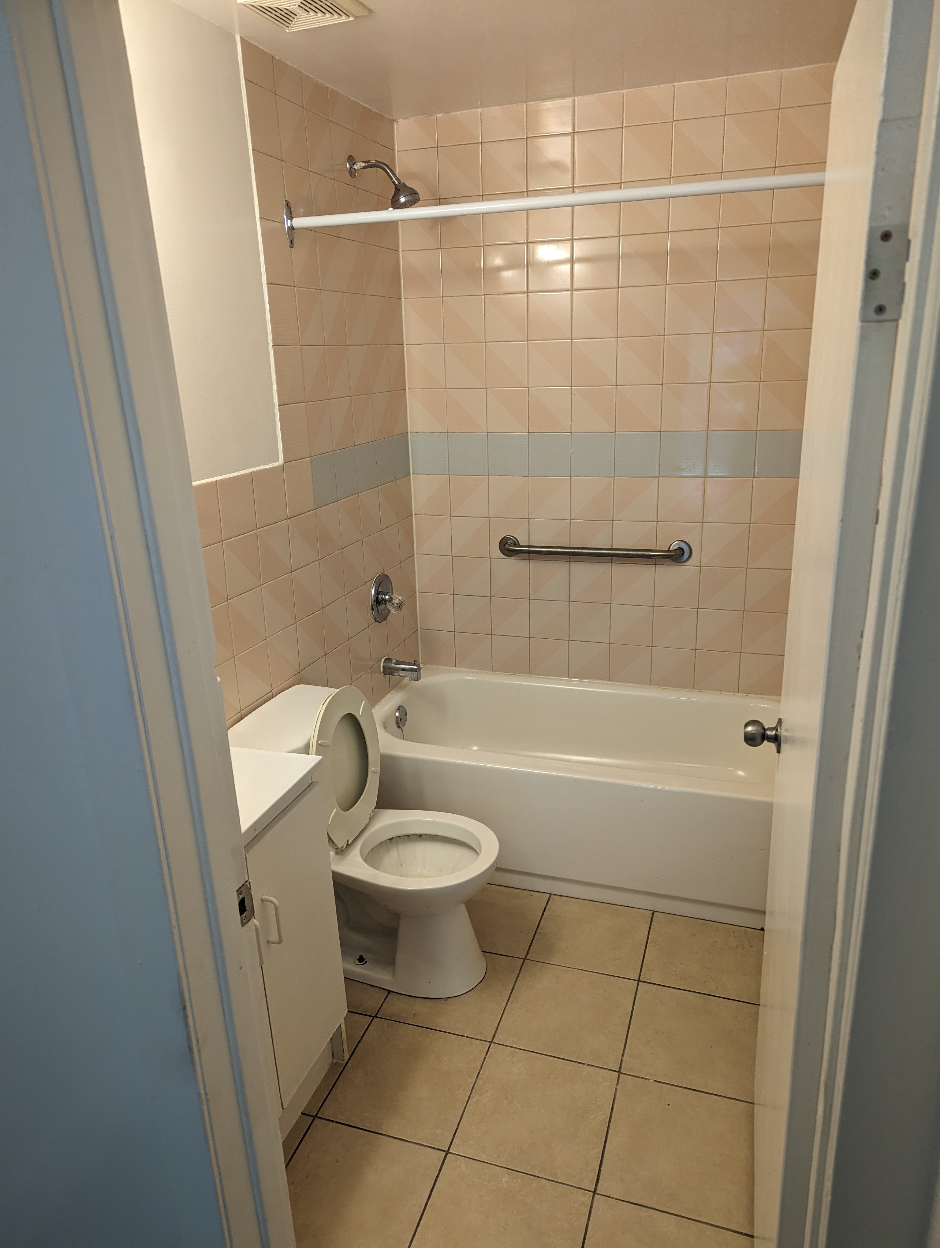 ALLISTON very LARGE 3 Bedroom 910 SF - photo 4
