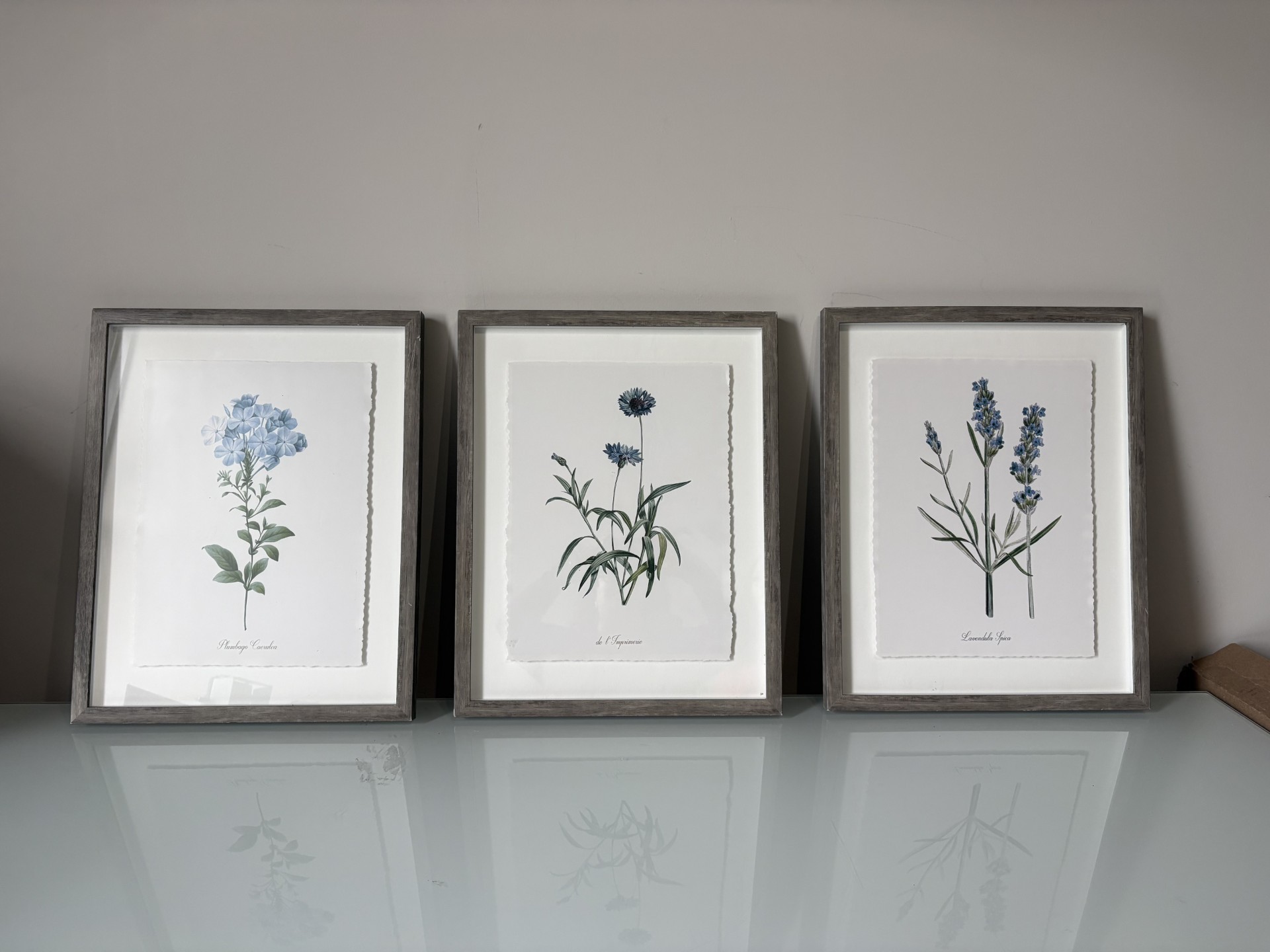 Set of 3 Framed Botanical Floral Prints - Target - photo 3