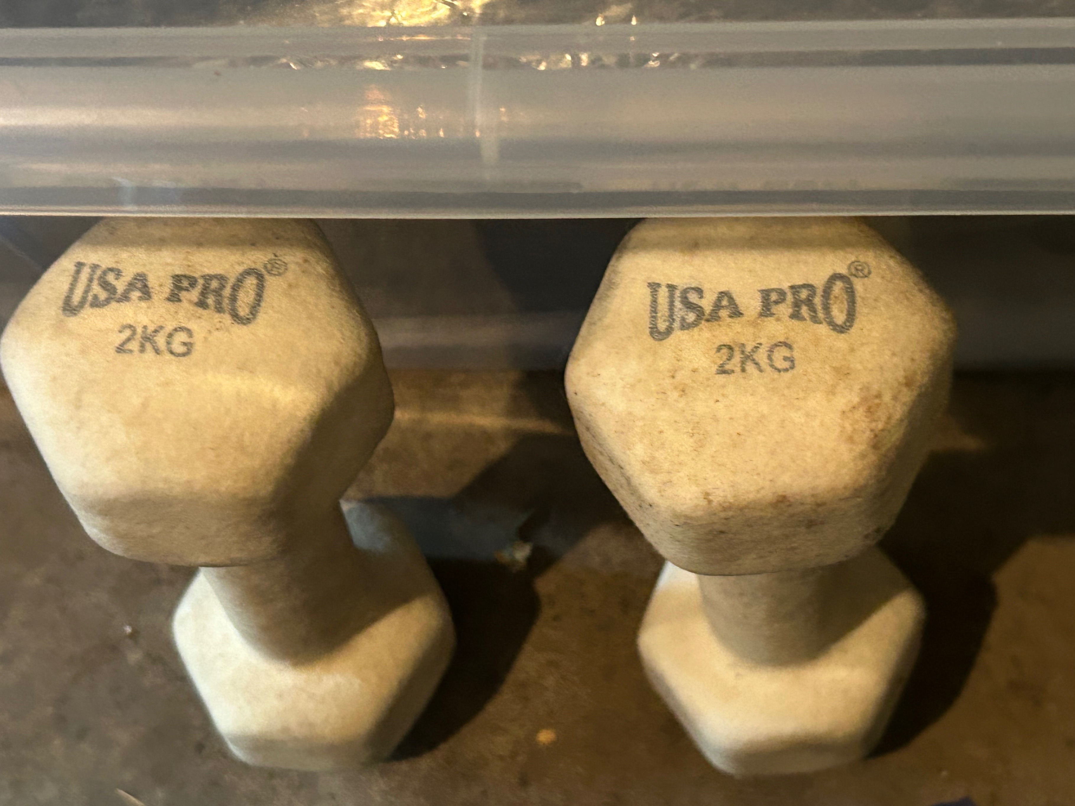 Handweights and Kettle Balls - photo 3