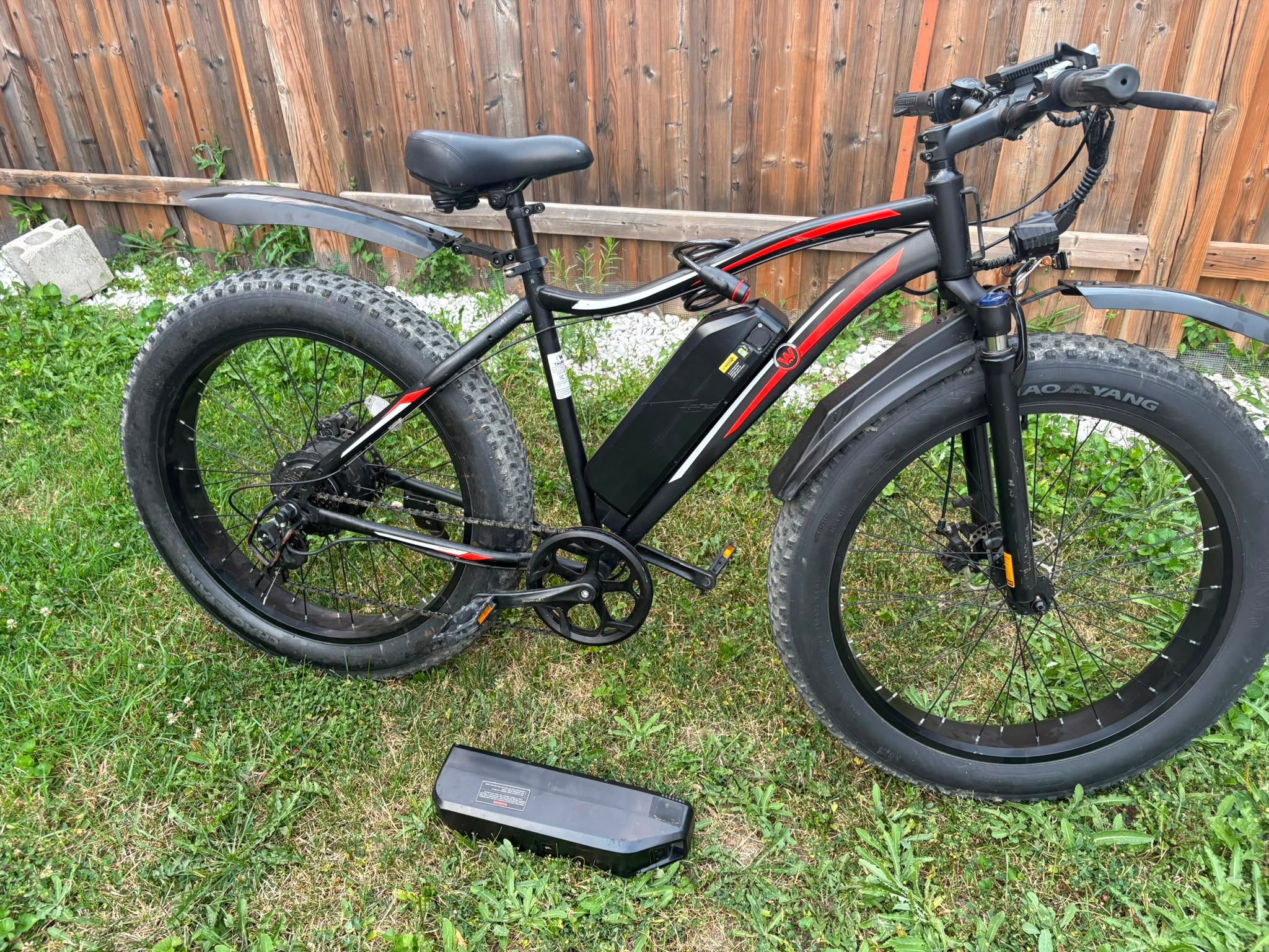 Electric Fat Bike