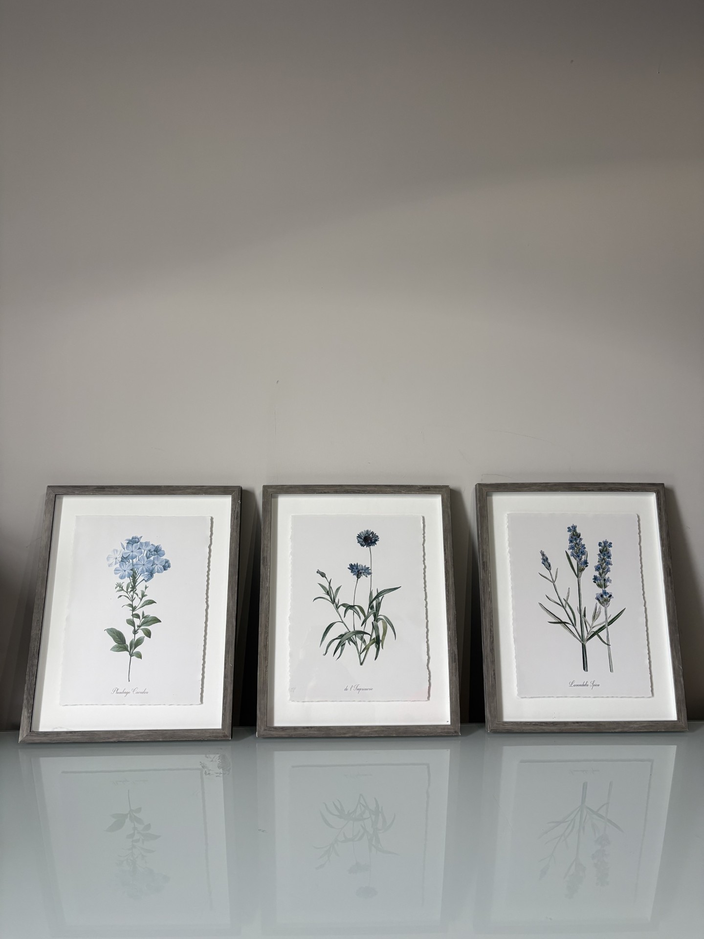 Set of 3 Framed Botanical Floral Prints - Target - photo 2