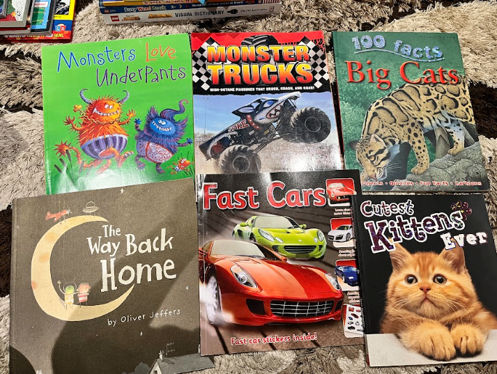 Children's Picture Books (includes Elmo, Disney, Scholastics) - photo 4