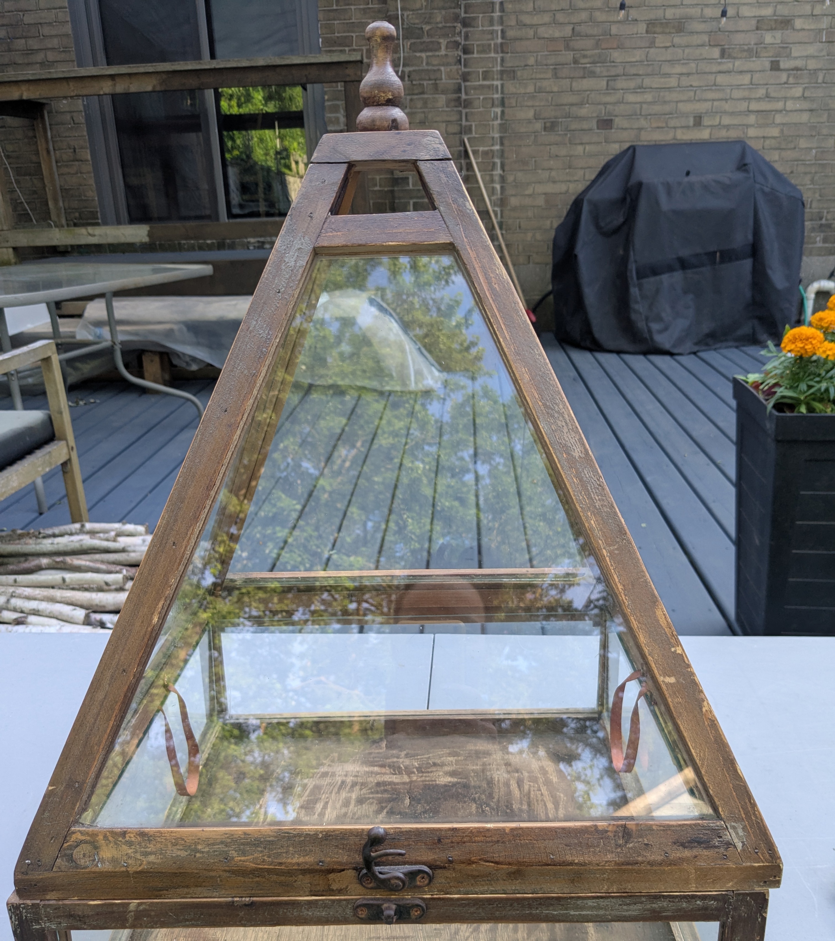 Vintage Wood Display Case / Terrarium