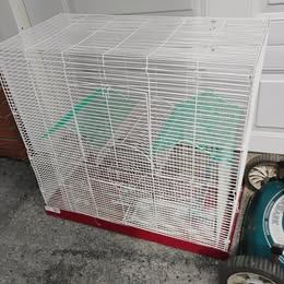 Finch Canary Budgie  Parrot Bird Cage (Large)