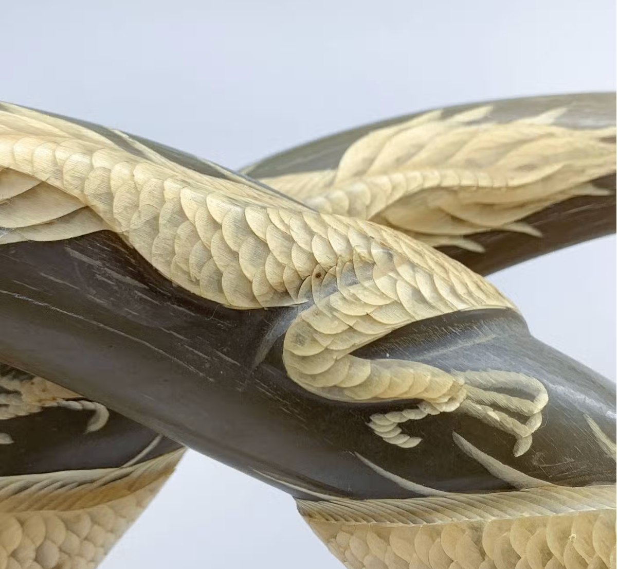 Pair of Vintage Hand-Carved Dragon & Phoenix Water Buffalo Horns - photo 4