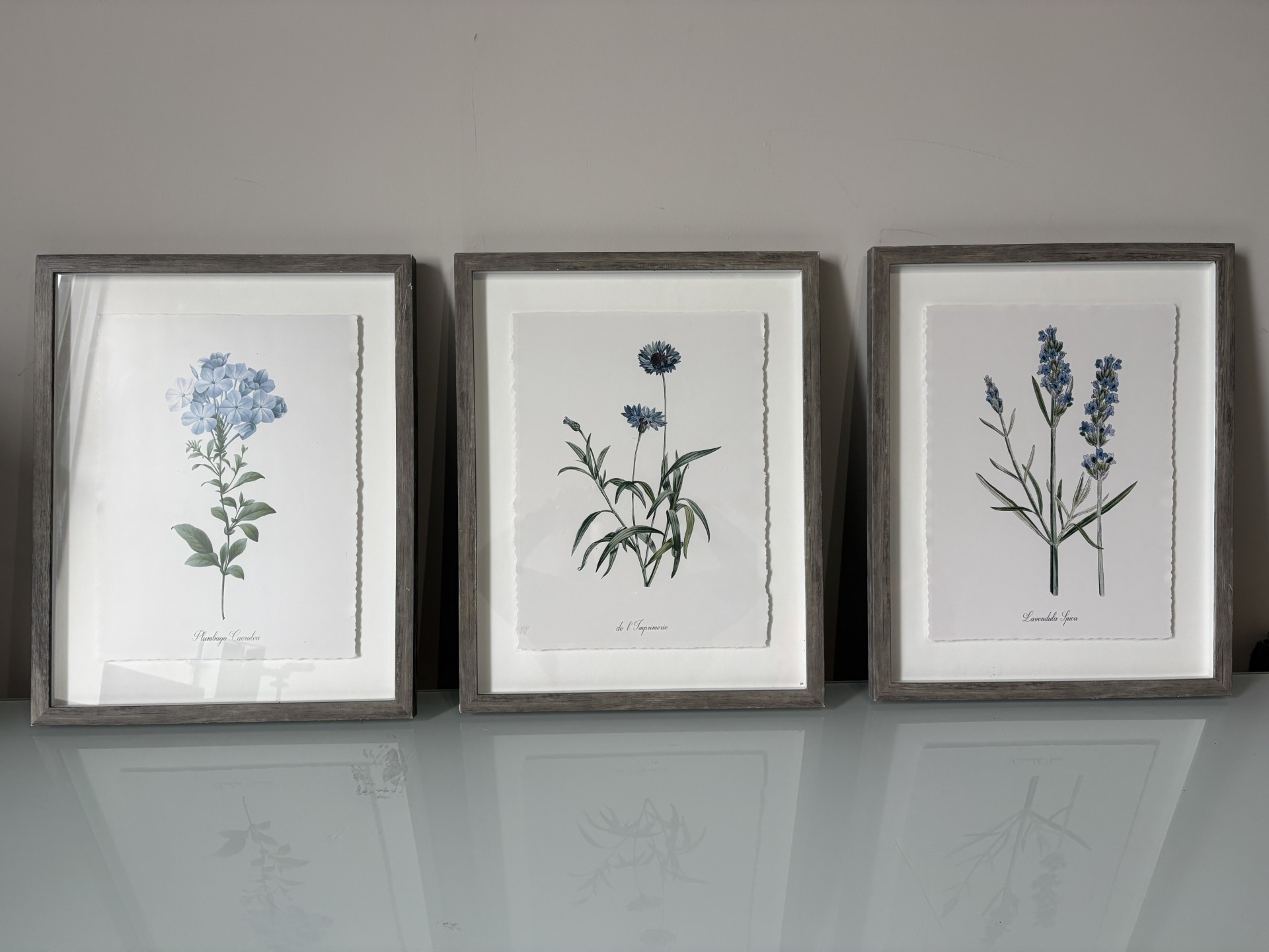Set of 3 Framed Botanical Floral Prints - Target