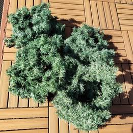 Four Christmas garlands