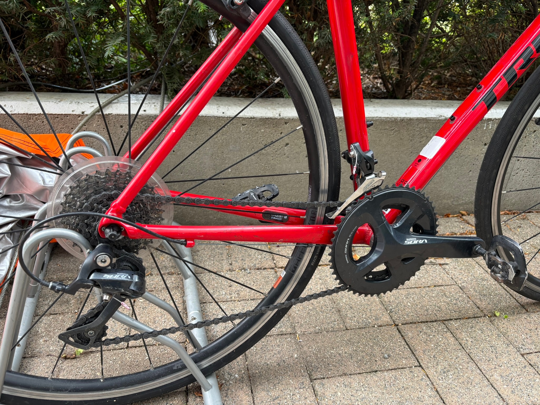 Trek 54" Madone 2019 AL 3, road bike - photo 2
