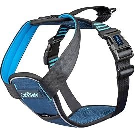 BRAND NEW: MEDIUM CarSafe Crash Tested Dog Safety Harness -