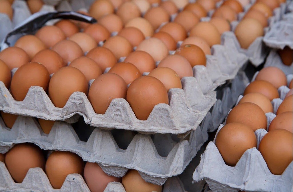 Organic Large Brown eggs from local farm.