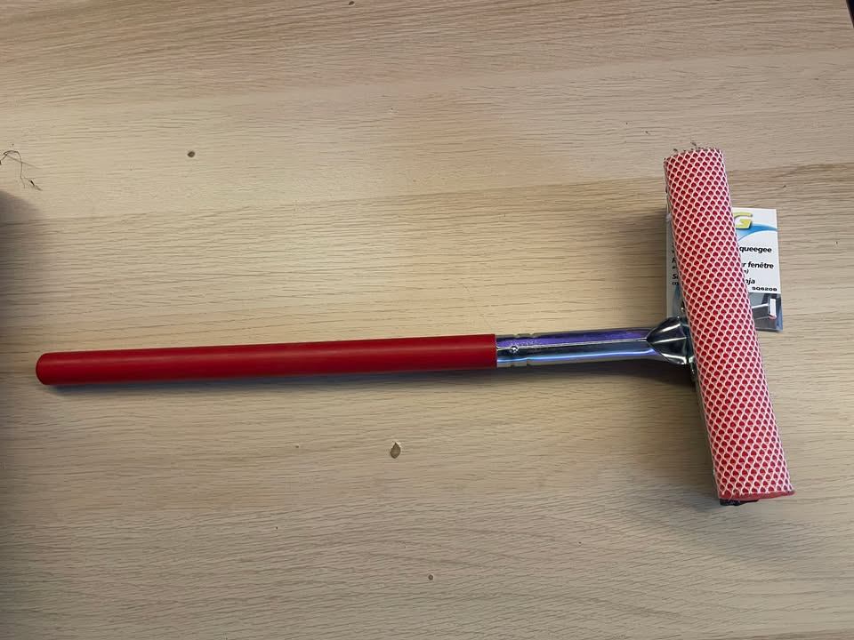 Sponge Window Squeegee with 30cm Pole