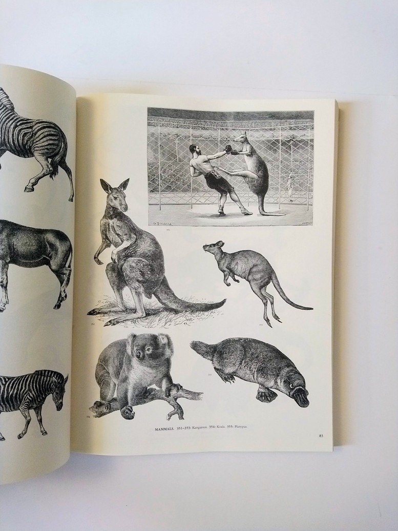 Animals: A Pictorial Archive from 19th Century Sources! - photo 4