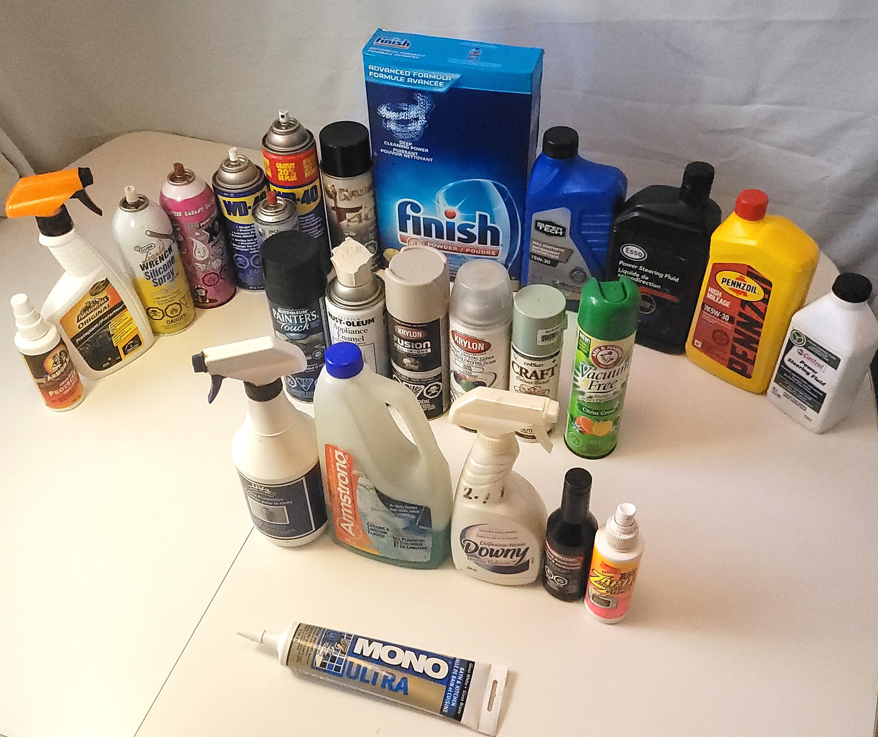 Trusted Seller Garage & Home Cleaning Lot w Storage Tote