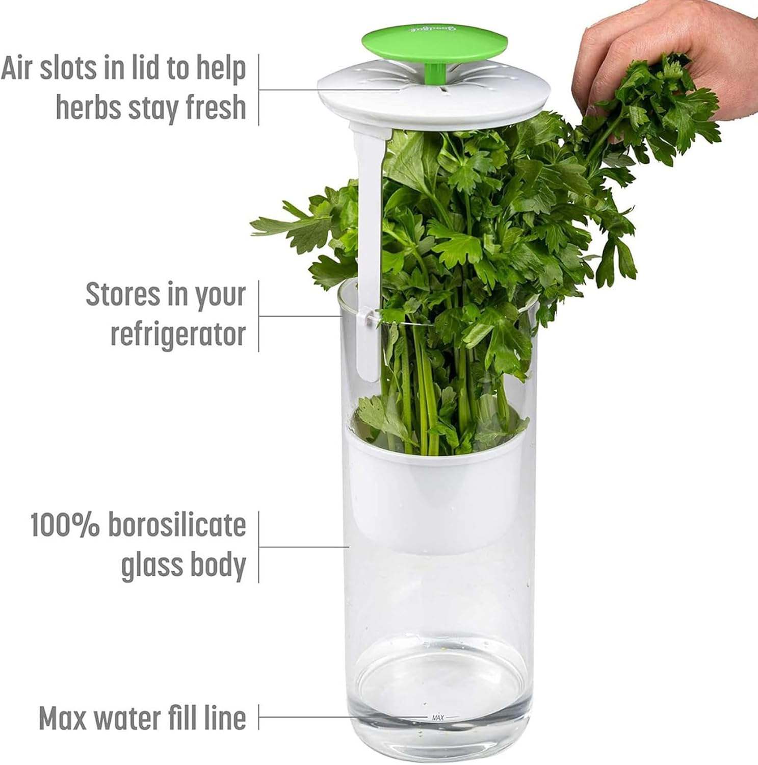 Glass Fresh Herb Keeper - photo 4