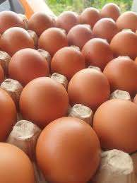 Large Brown eggs from local farm - photo 2
