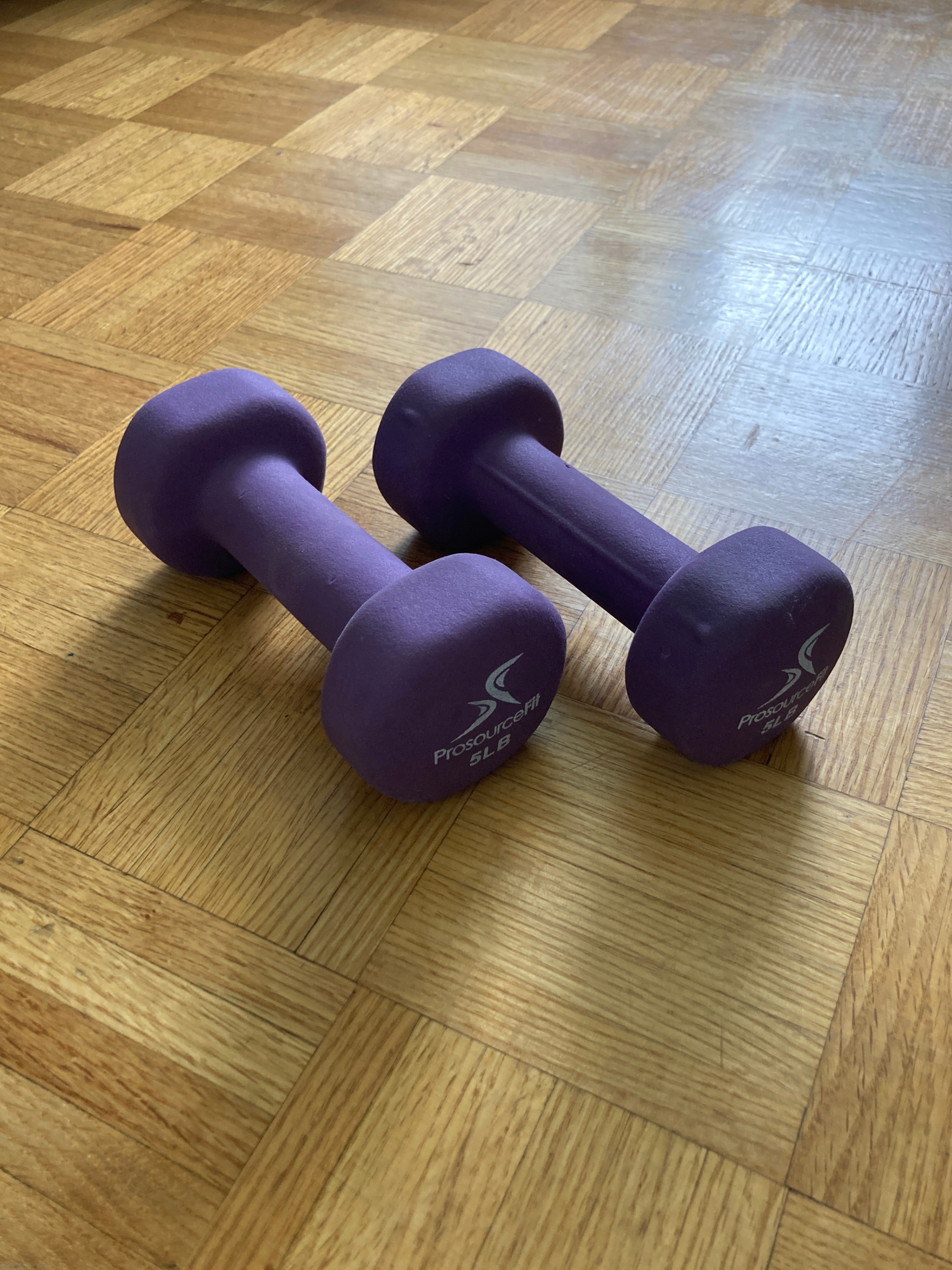 ProsourceFit Set of 2 Neoprene Dumbbell(5 LB/2KG)