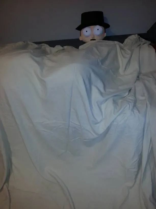 High Quality Cover For Your Duvet -- Double Or Queen Size - photo 3