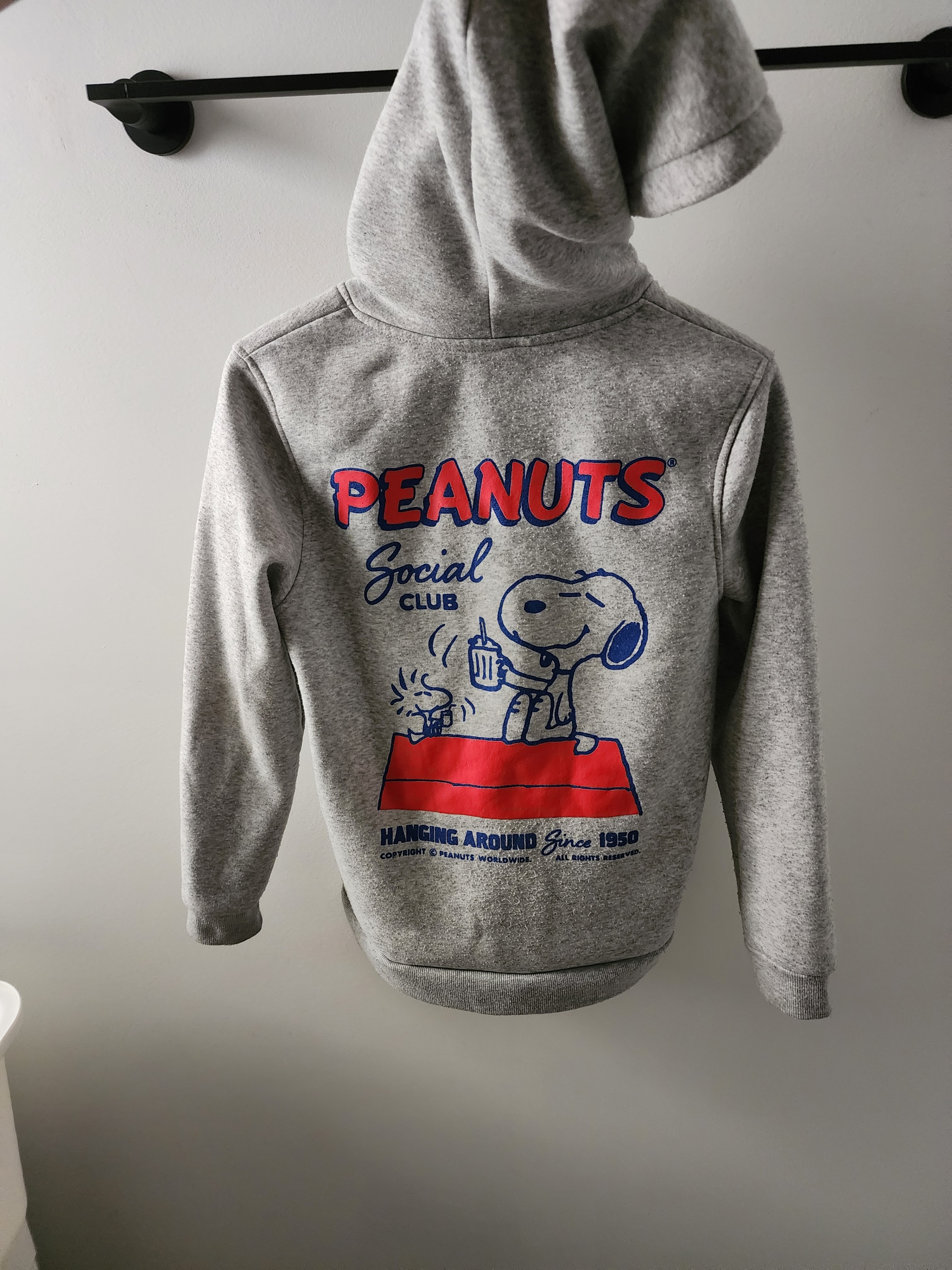 Teen age 14+ Large hoodie can fit small adult unisex - photo 3