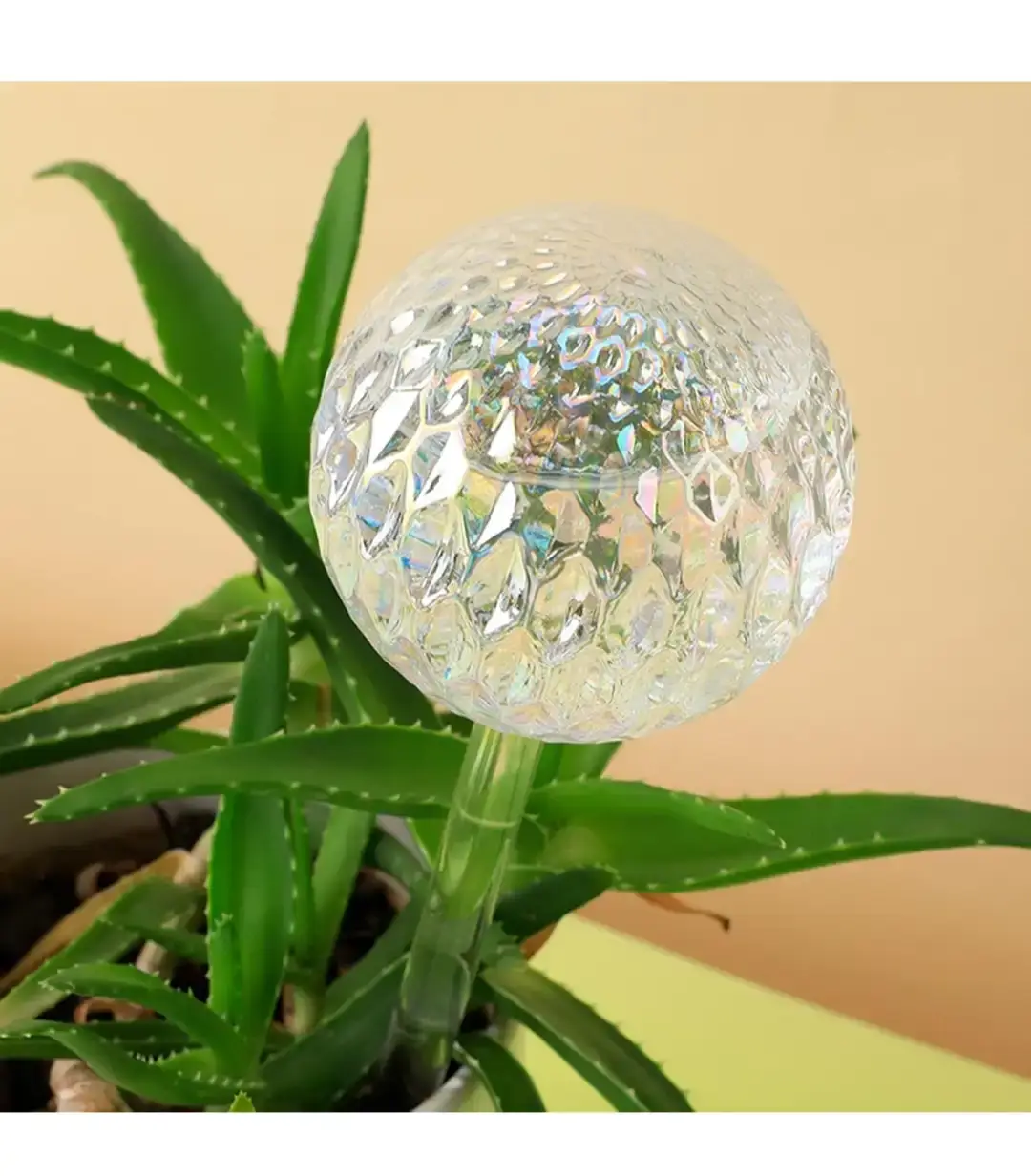 Glass Plant Watering Devices - Set of 3 - photo 2
