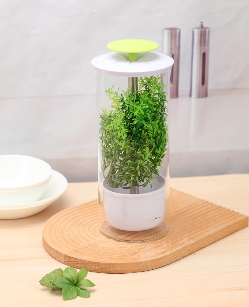 Glass Fresh Herb Keeper