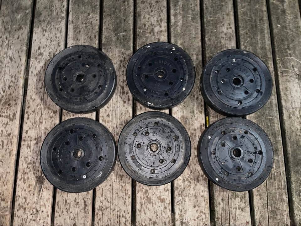 15lb Weight Plates