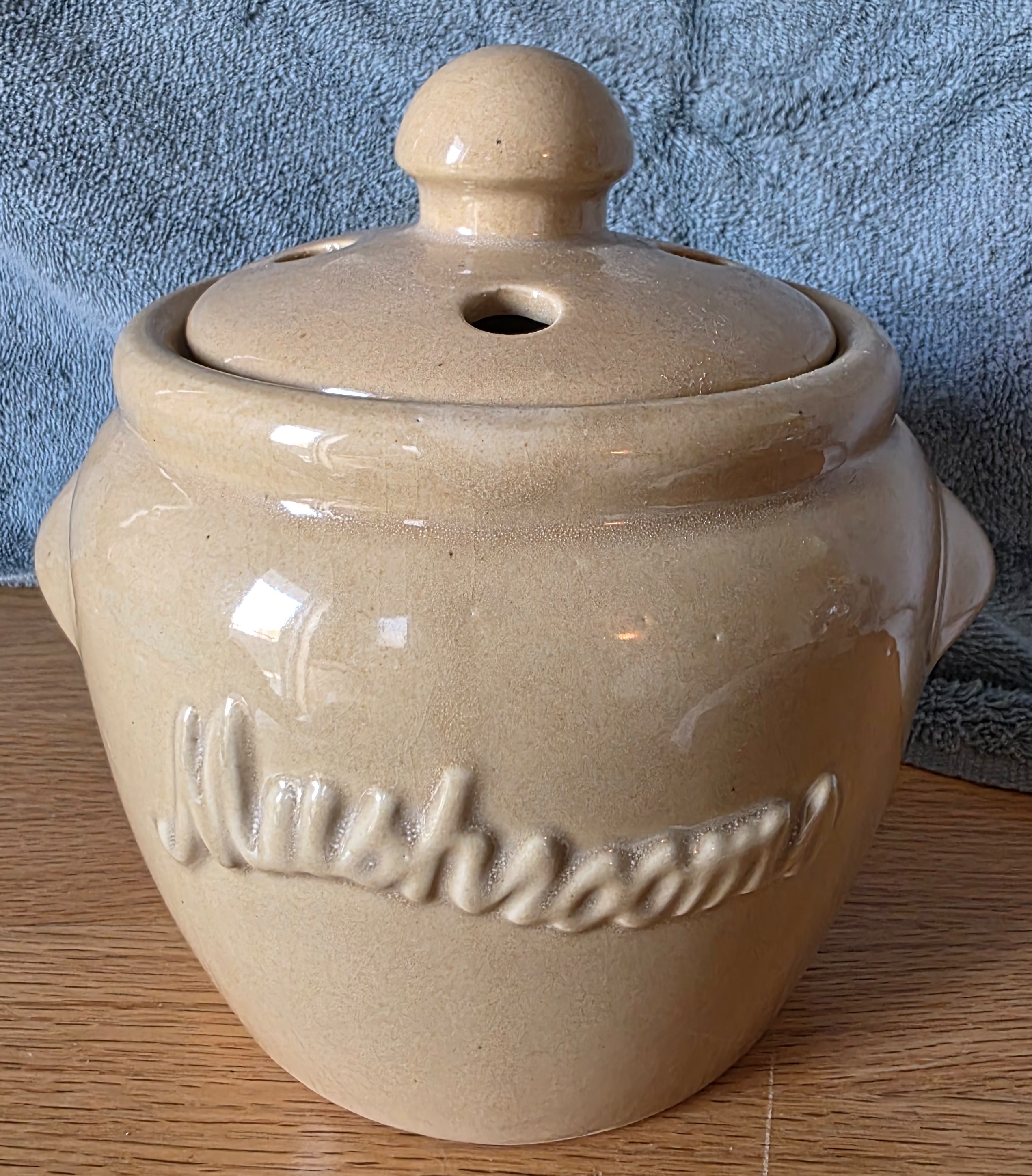 Ceramic Mushroom Keeper Jar