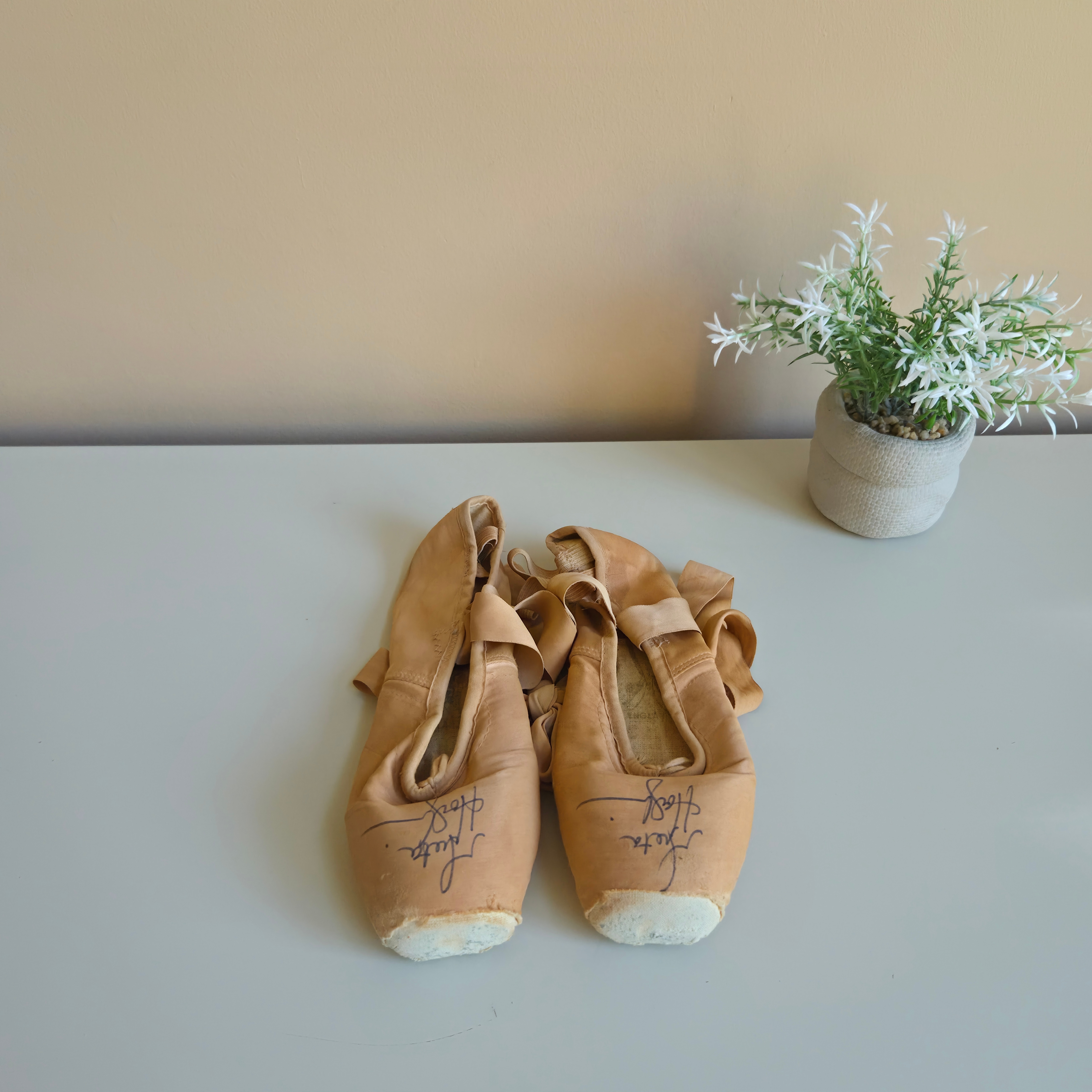 Greta Hodgkinson - Rare Signed Ballet Shoes - Pre-Loved! 🩰