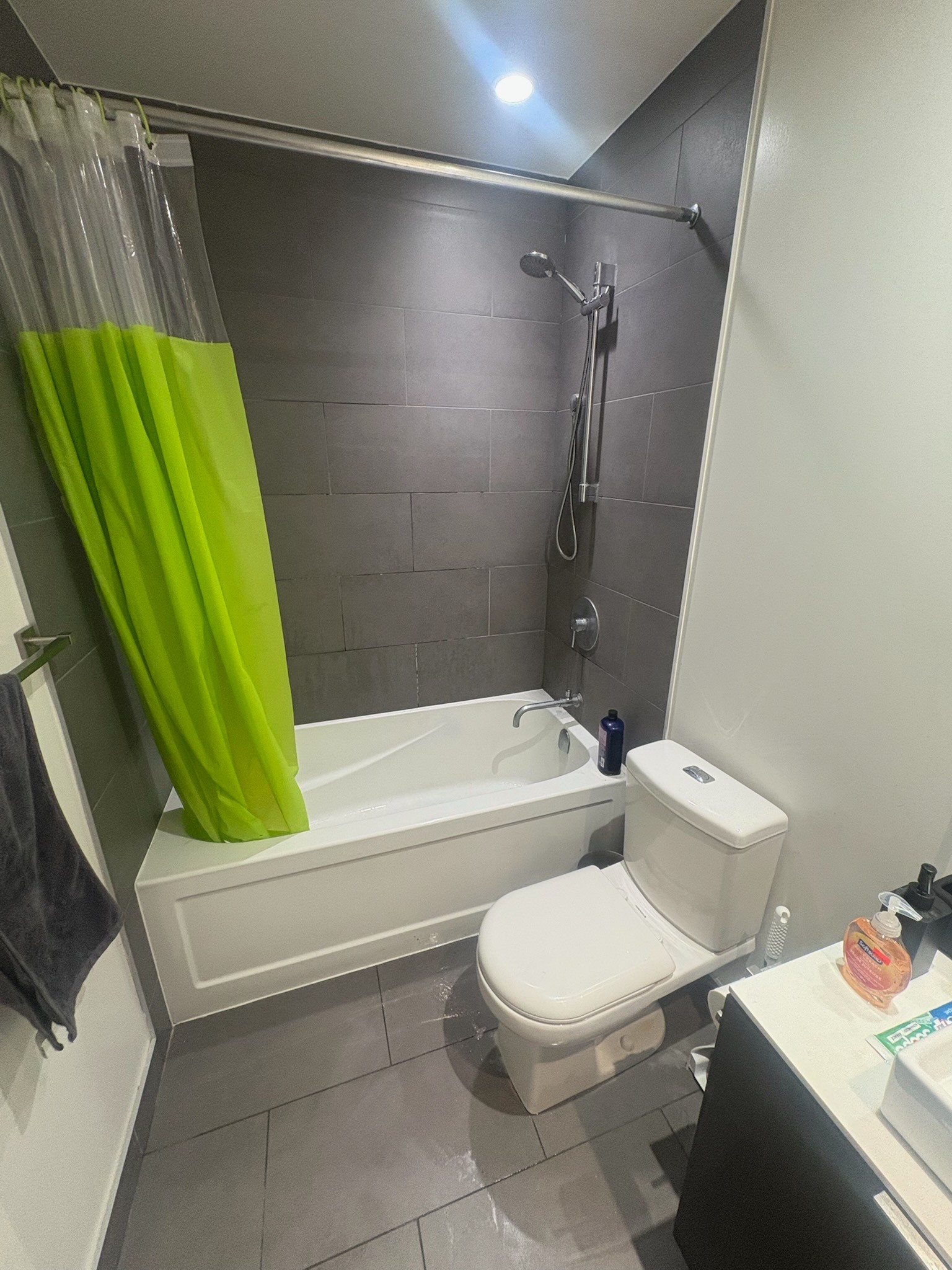 $1,550 / 1br - Master Bedroom + Ensuite | Downtown Toronto - photo 4