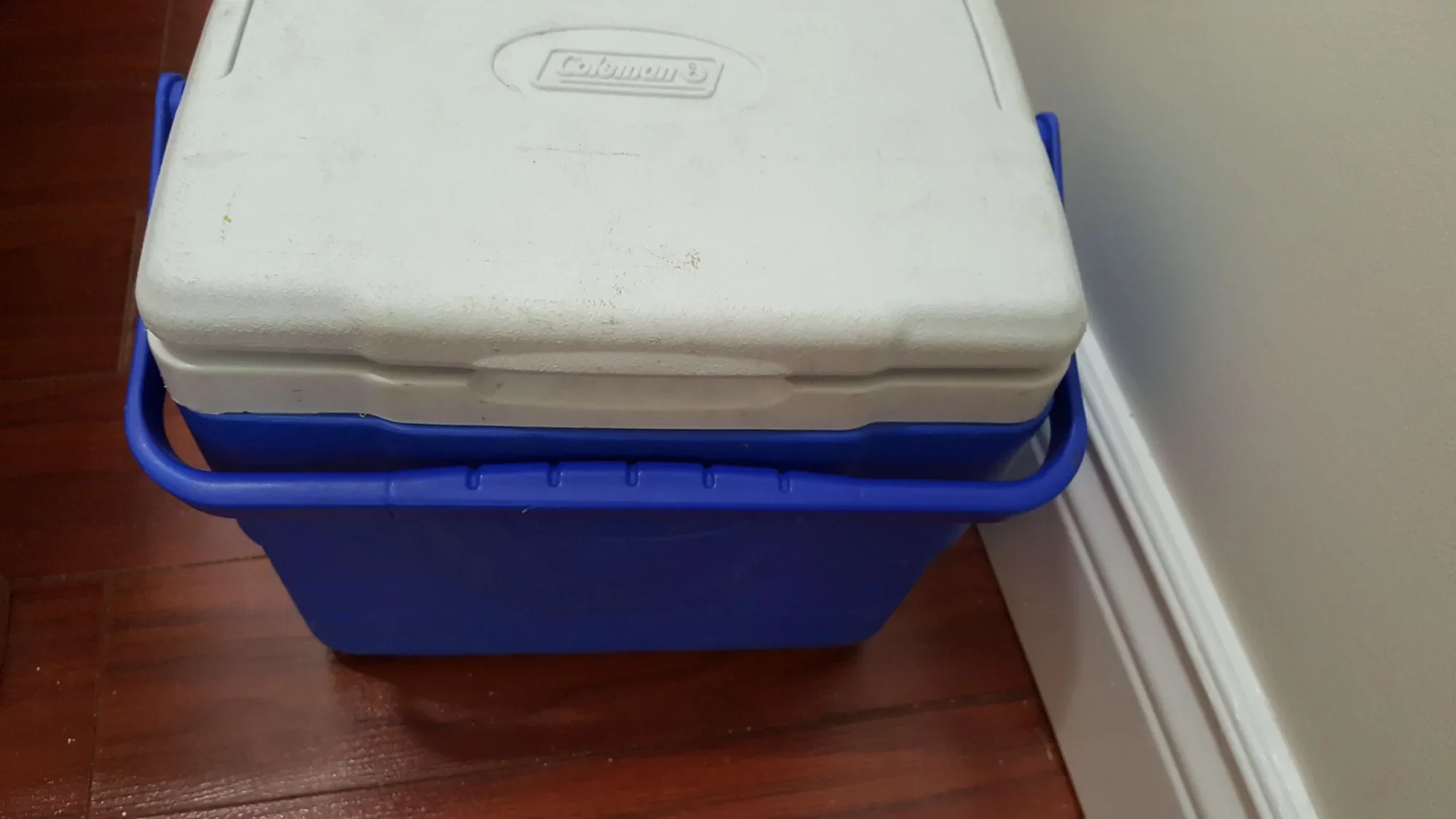 Small Coleman Cooler (9 quart?) -- Used condition (some super... - photo 3