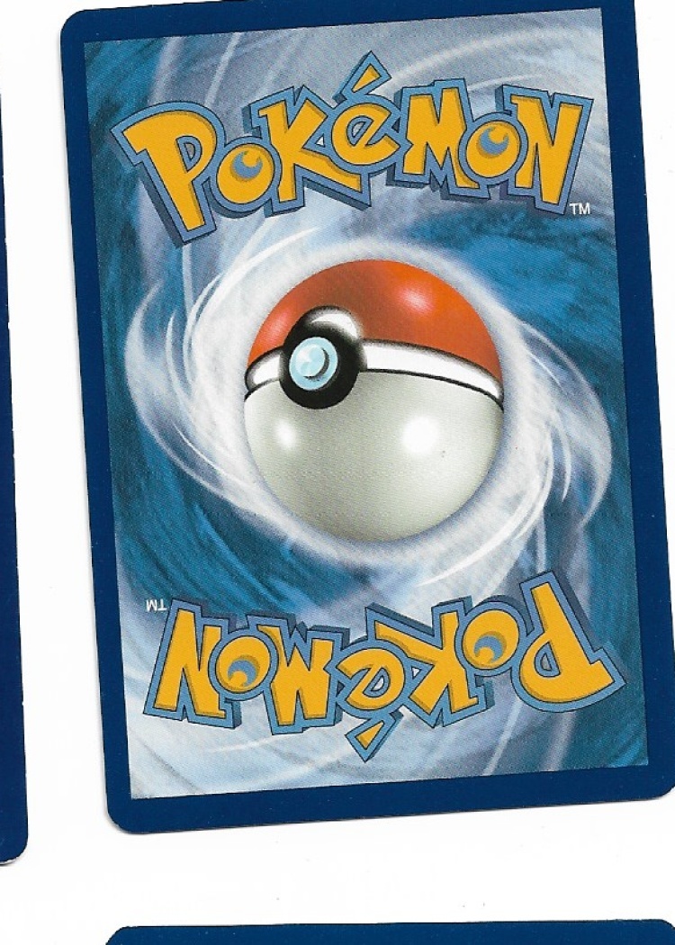 Pokemon Stoutland 248/236 Cosmic Eclipse NM - photo 2