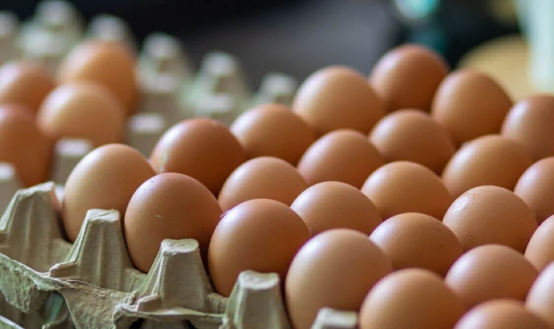 Large Brown eggs from local farm - photo 3