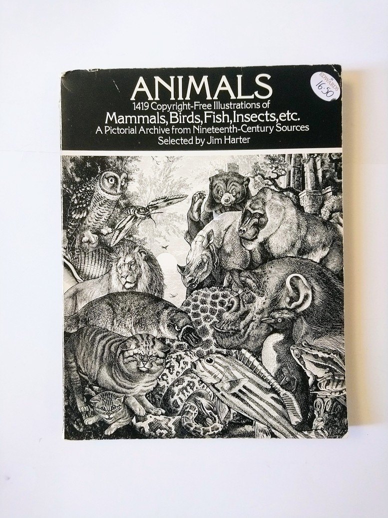 Animals: A Pictorial Archive from 19th Century Sources!