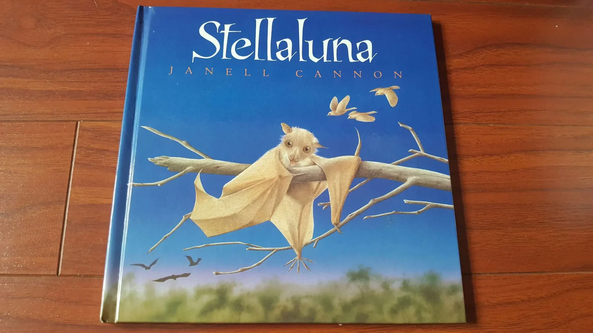 Stellaluna Children's Bat Story Book