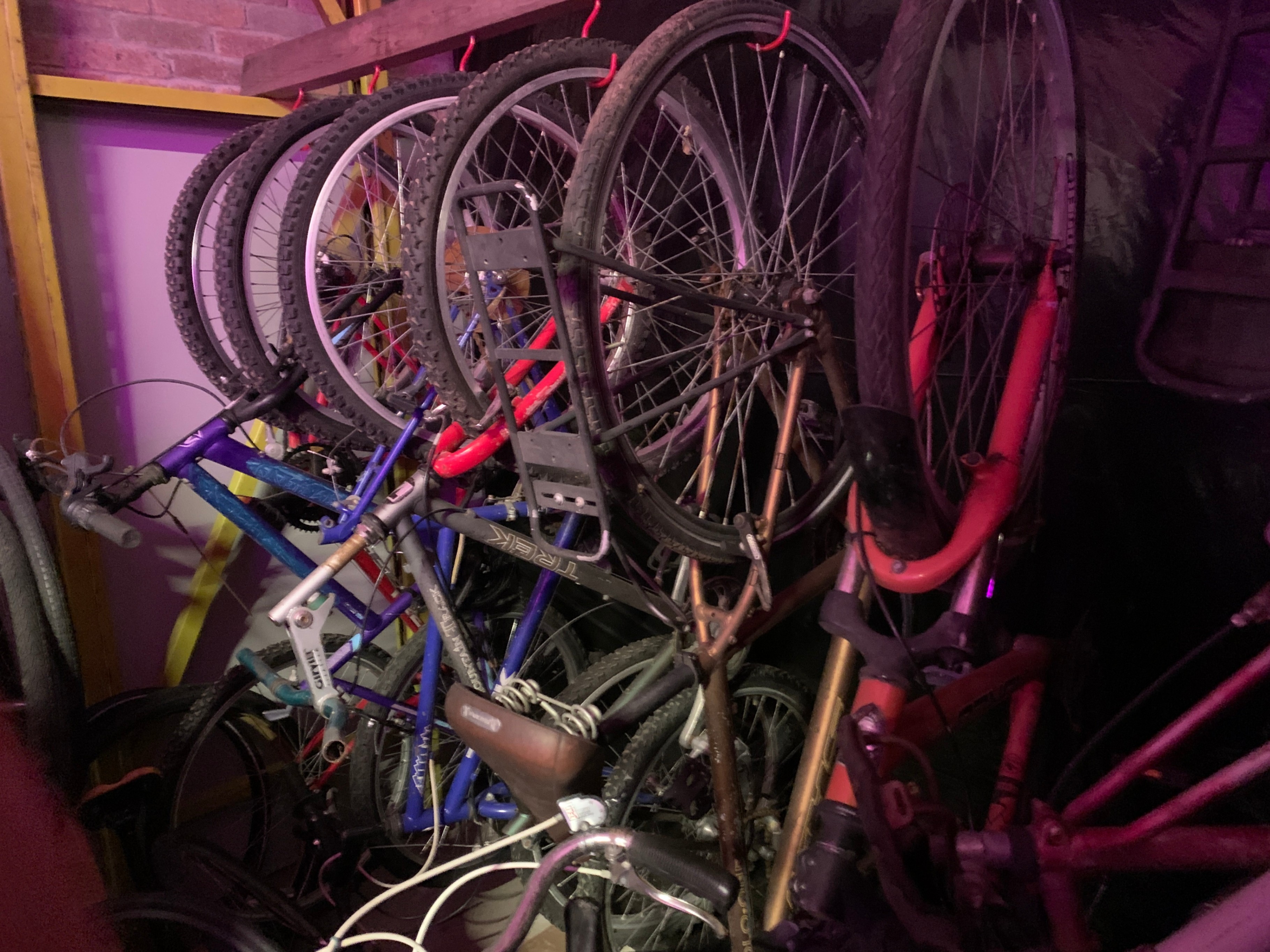 # Massive Bike Clear-Out – Perfect To Flip, Upgrade & Profit - photo 4
