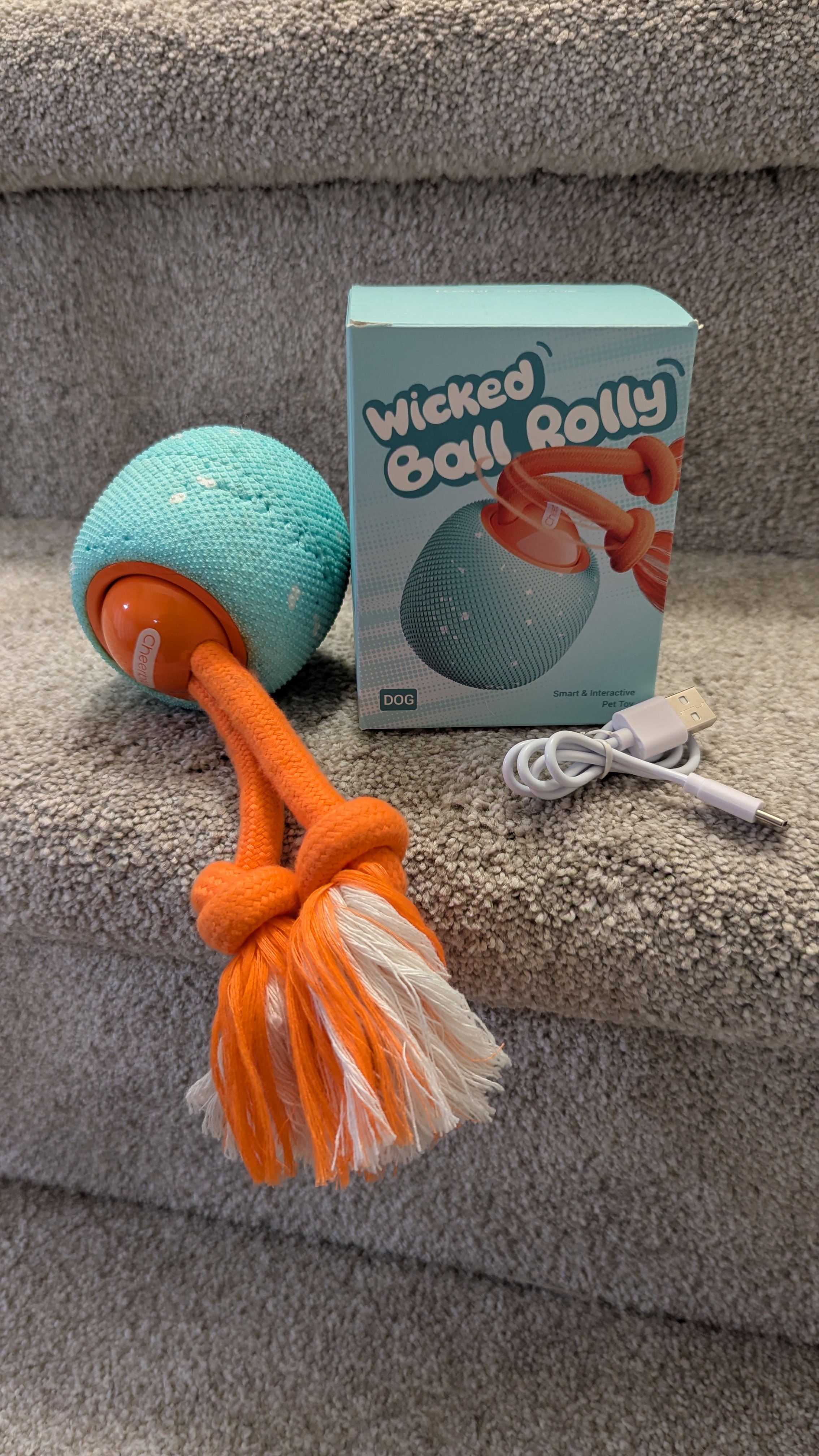 Wicked Ball Rolly® Smart & Interactive Dog Toy