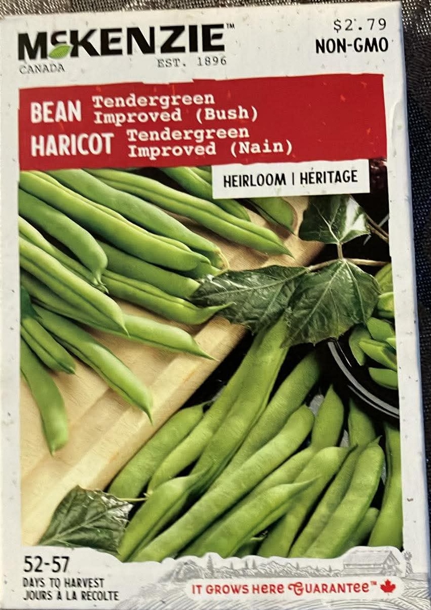 Bean Tendergreen Improved (Bush) Seeds