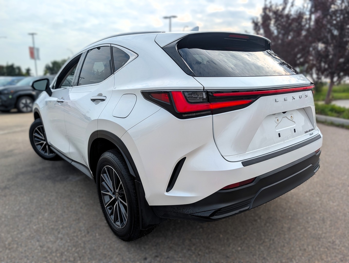 2024 Lexus NX 450h+ - photo 3
