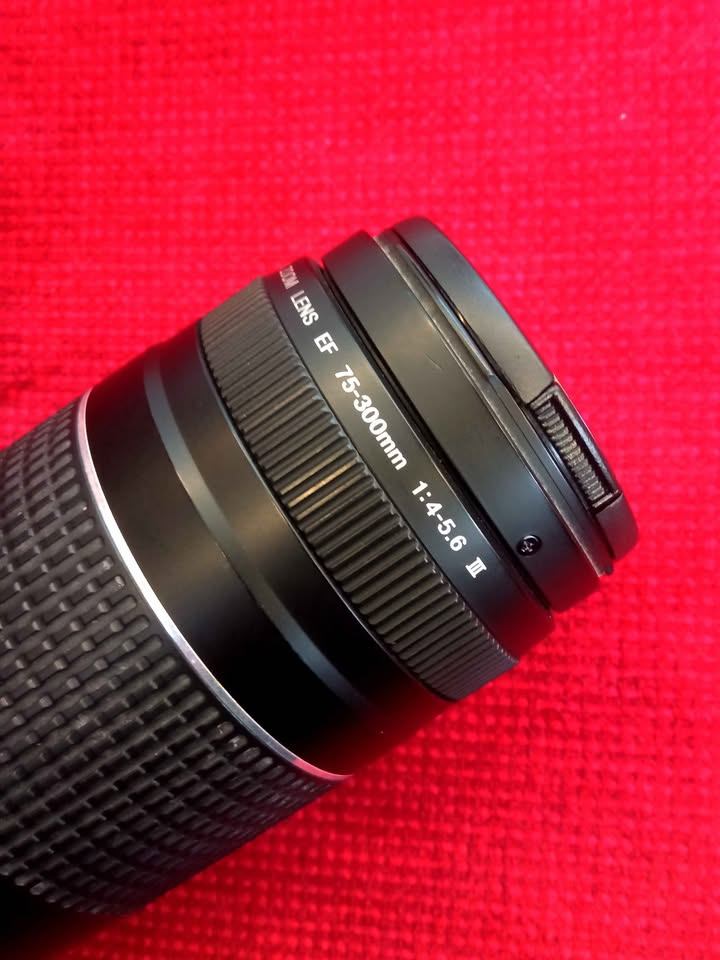 Canon EF 75-300mm f/4-5.6 III