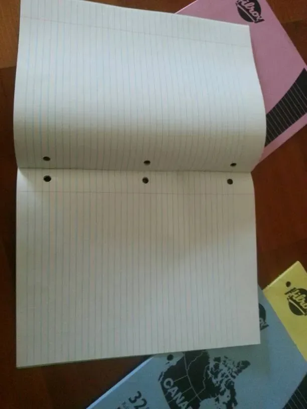 Old School Unused Hilroy Exercise Books (Cahiers D'Exercises) - photo 3