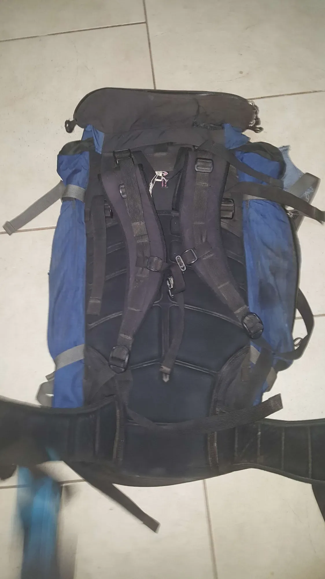 Serratus Backpack from MEC - Canadian Made - photo 4