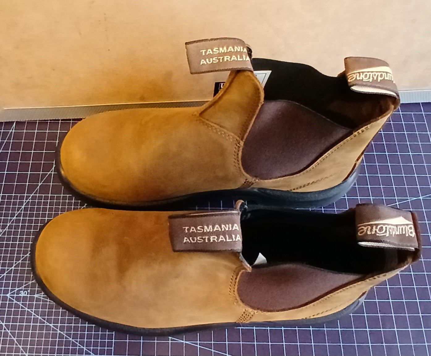 Blundstone shoes