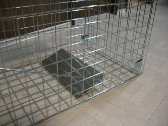 Super Extra Large Live Animal Trap, Brand New - photo 3