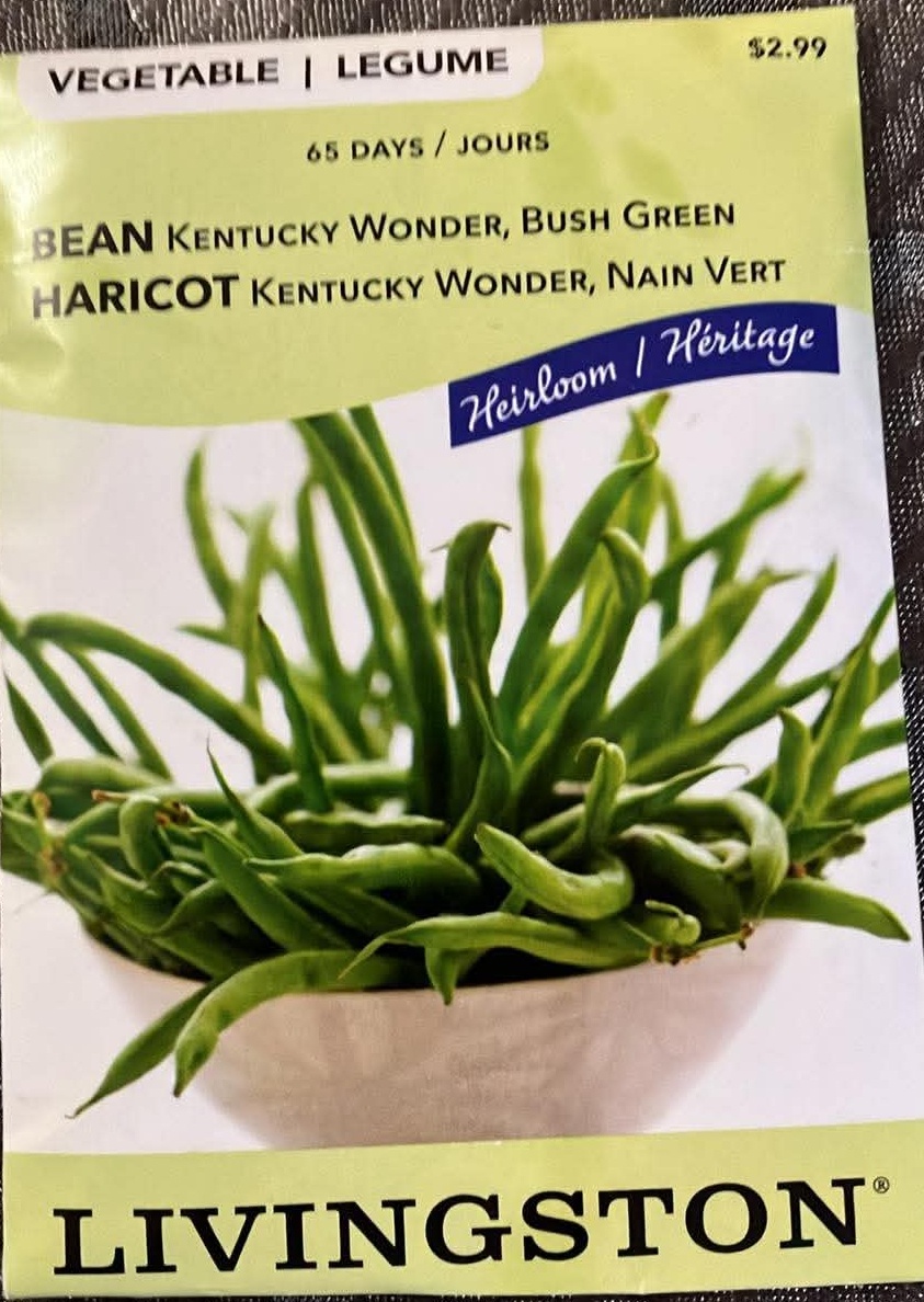 Bean Kentucky Wonder Bush Green Seeds