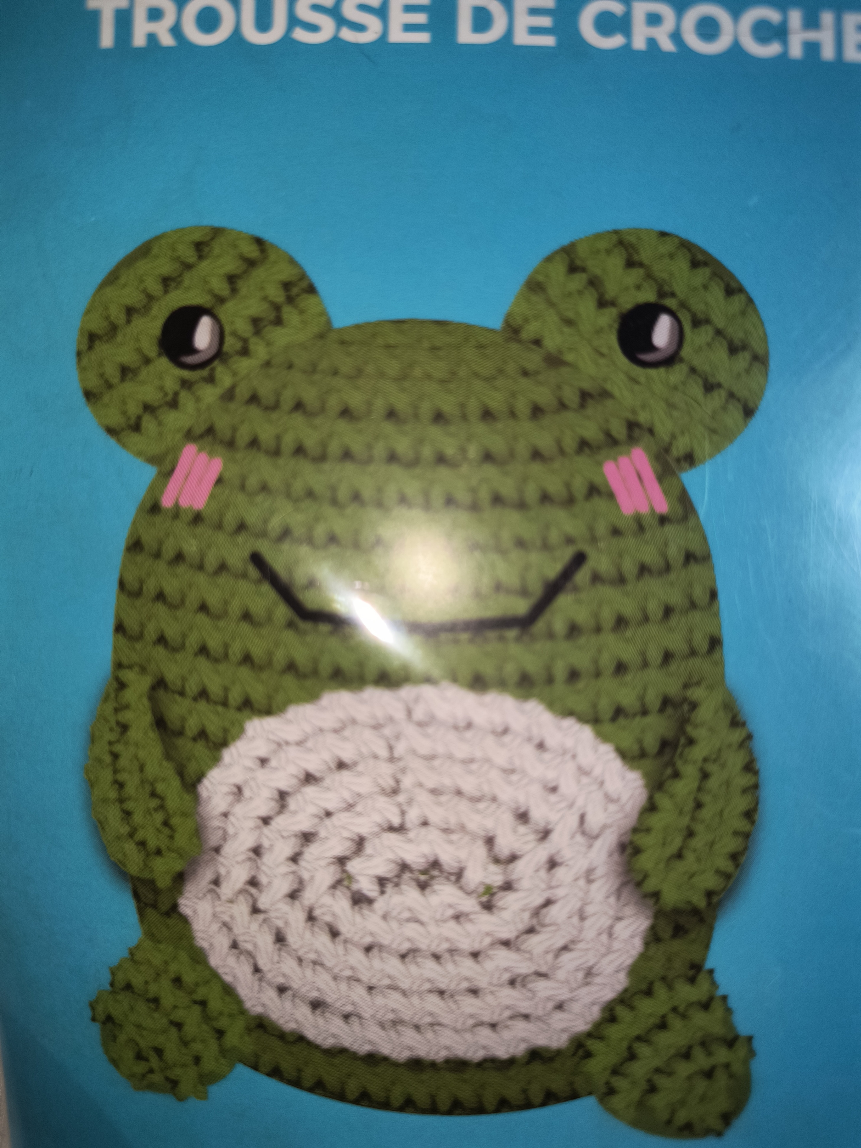 DIY Frog Crochet kit craft set plus free gift!! Crafter's Square