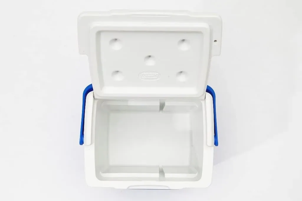 Small Coleman Cooler (9 quart?) -- Used condition (some super... - photo 2