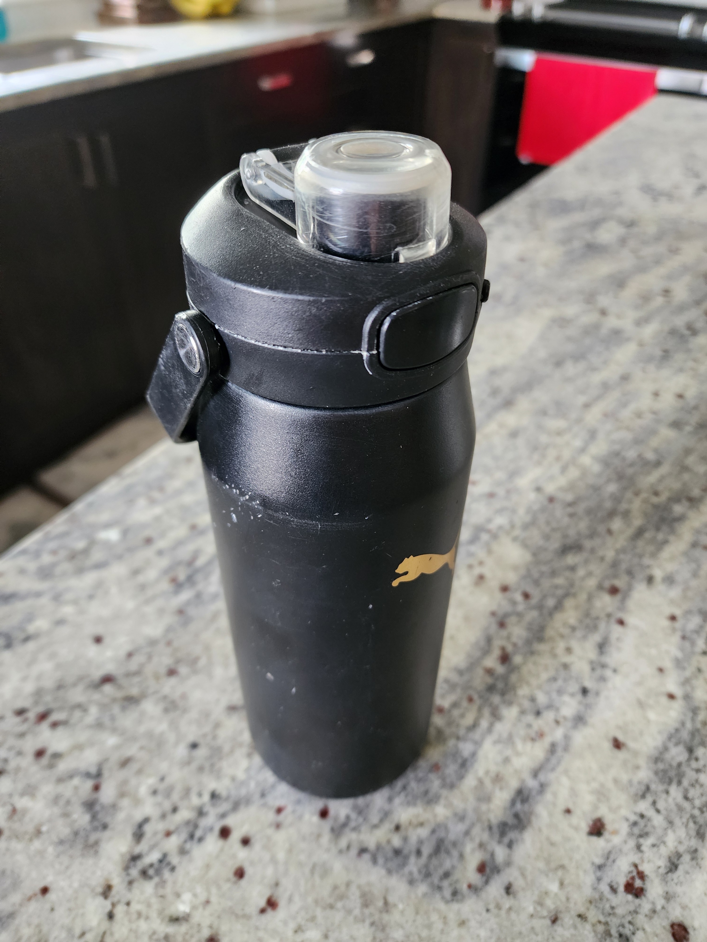 21 oz insulated thermos water bottle