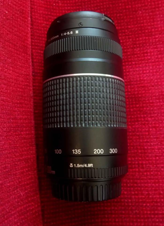 Canon EF 75-300mm f/4-5.6 III - photo 2