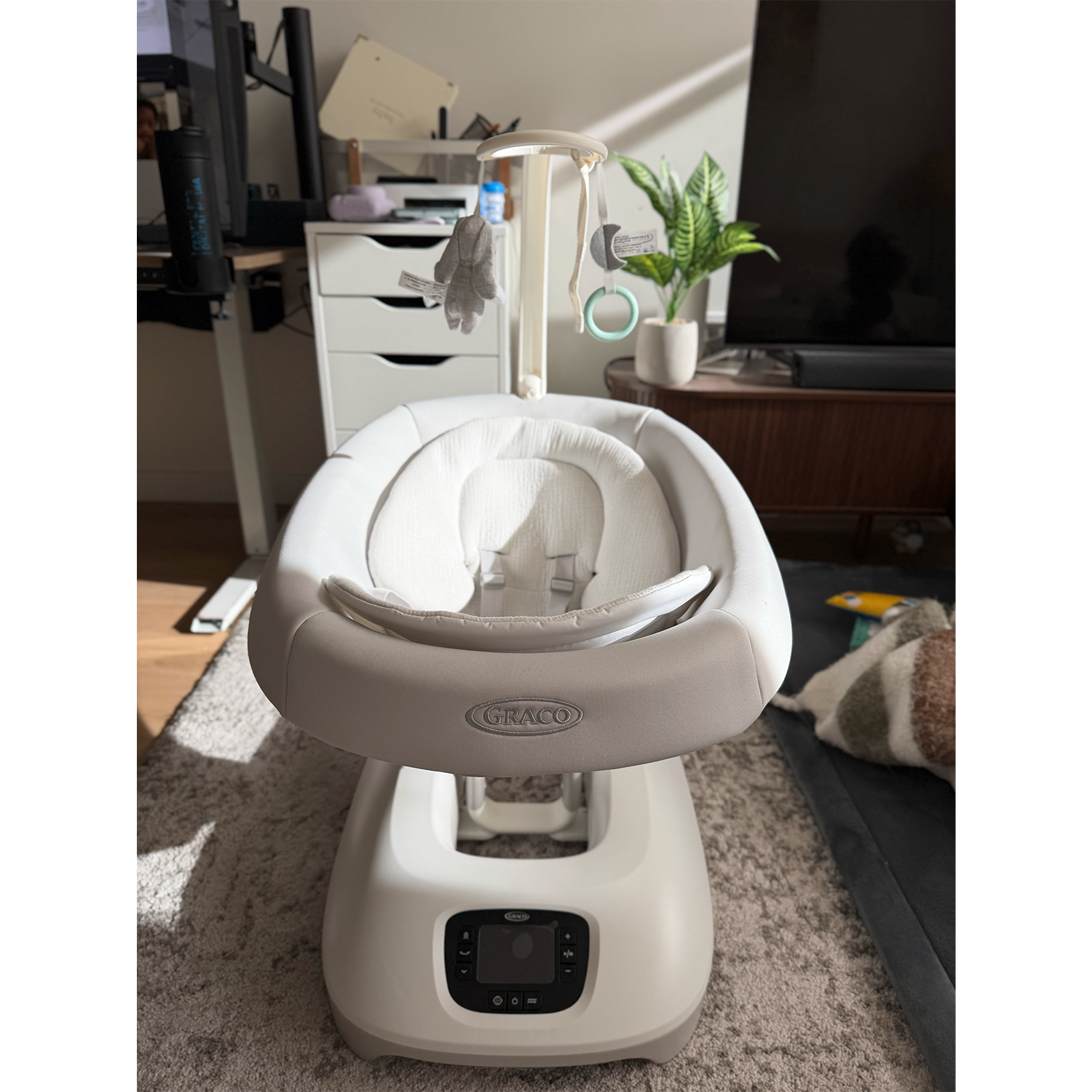 Graco SmartSense Soothing Baby Swing, Rori