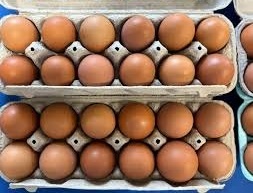 Organic Large Brown eggs from local farm. - photo 2